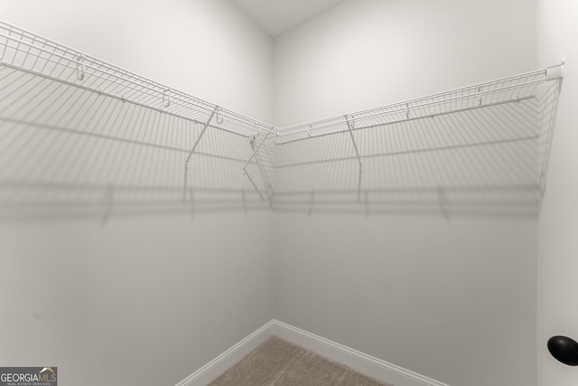 4860 Grandview Ct, Flowery Branch, GA 30542 - spacious closet with carpet