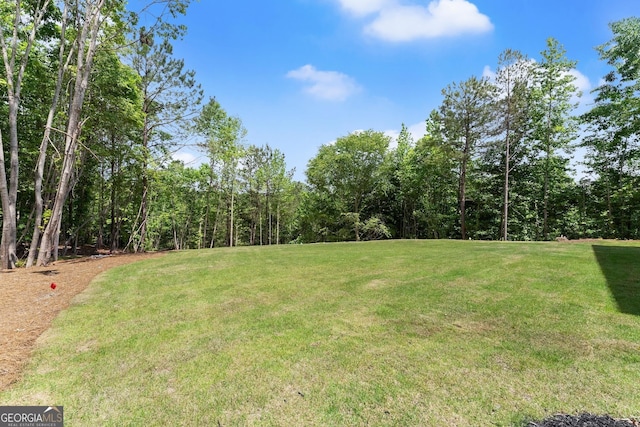 4860 Grandview Ct, Flowery Branch, GA 30542 - view of green lawn