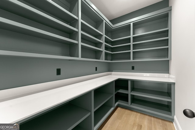 4860 Grandview Ct, Flowery Branch, GA 30542 - view of storage area