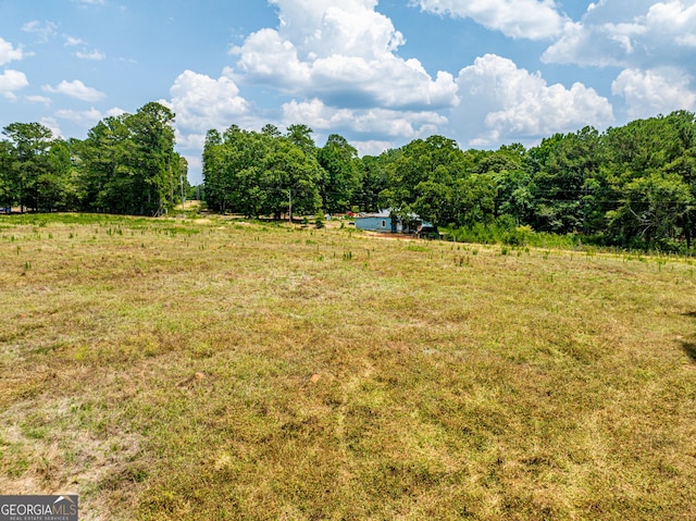 view of yard featuring a rural view