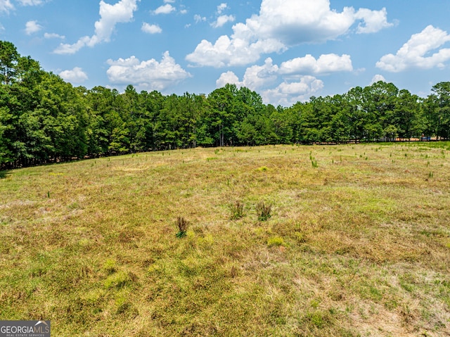 view of local wilderness featuring a wooded view and a rural view