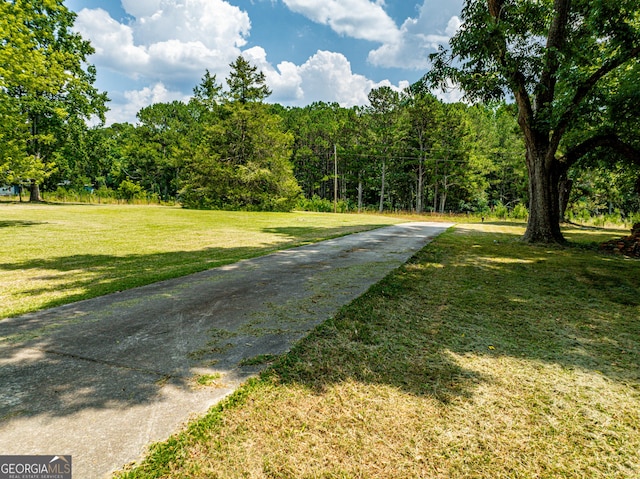 view of home's community featuring a forest view and a yard