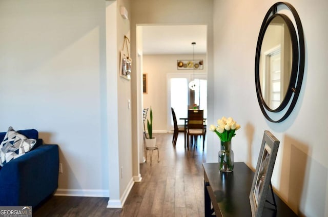 hall featuring dark wood-style floors and baseboards