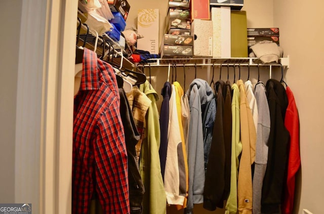 view of spacious closet