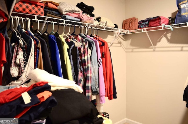 view of spacious closet