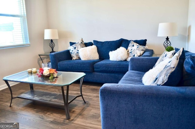 living room with baseboards and wood finished floors