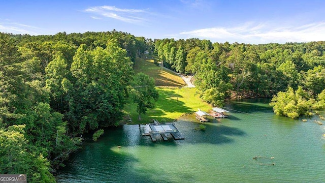 birds eye view of property featuring a water view and a forest view