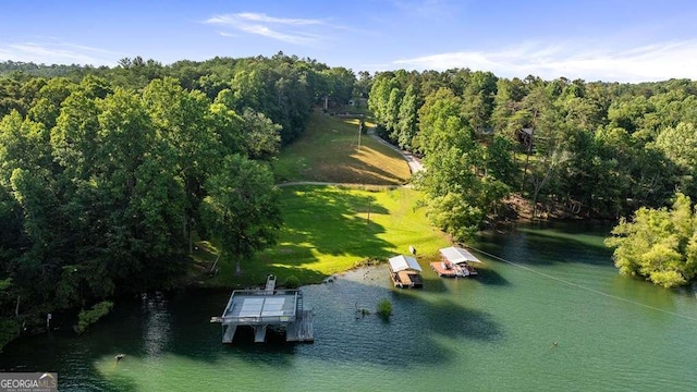 birds eye view of property with a water view and a forest view