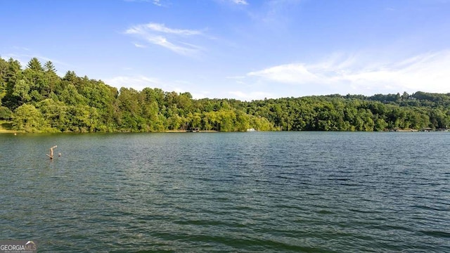 view of water feature featuring a wooded view