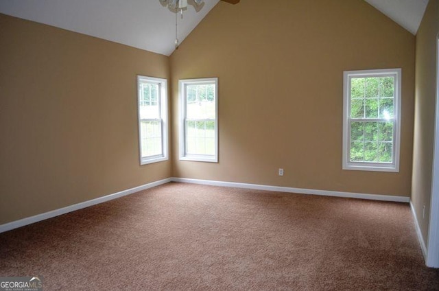 carpeted spare room featuring high vaulted ceiling, baseboards, and a wealth of natural light