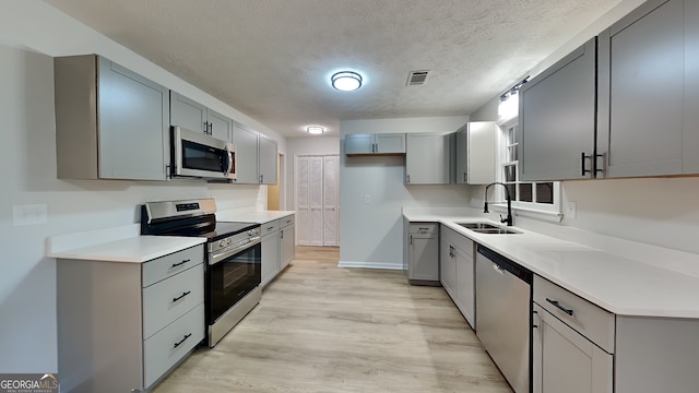 kitchen featuring stainless steel appliances, visible vents, gray cabinetry, a sink, and light wood-type flooring