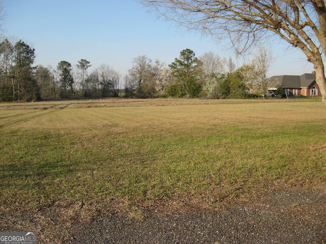 view of yard with a rural view