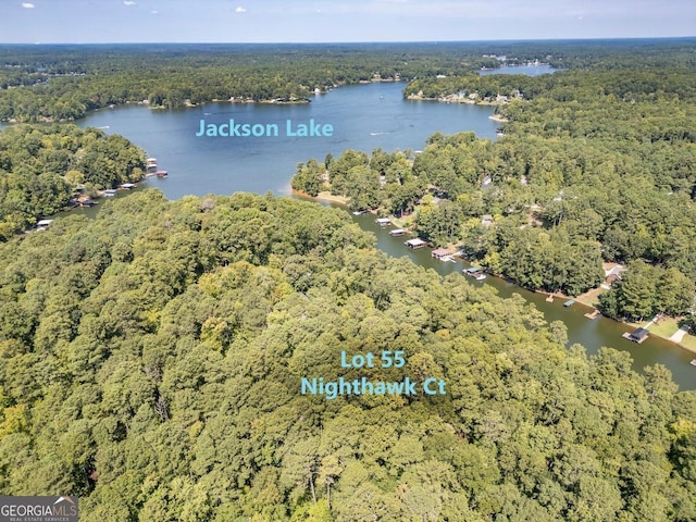 0 Nighthawk Ct Lot 55, Monticello GA, 31064 land for sale