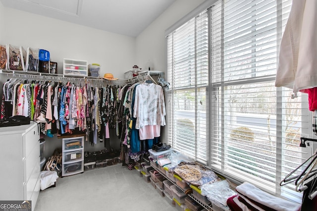 walk in closet featuring carpet flooring