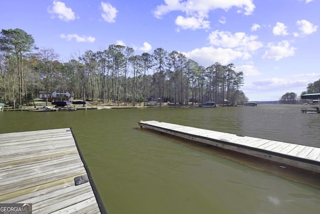 view of dock with a water view