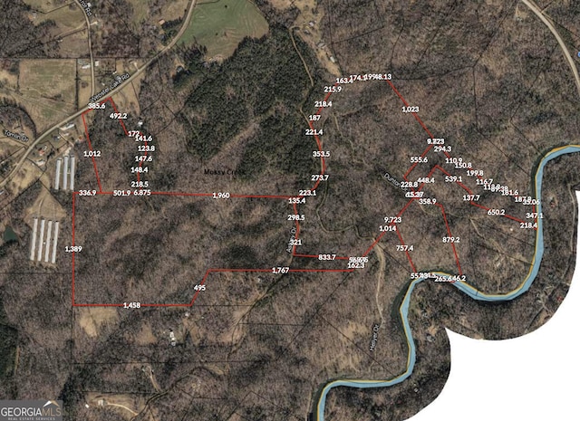 0 Webster Lake Rd, Cleveland GA, 30528 land for sale