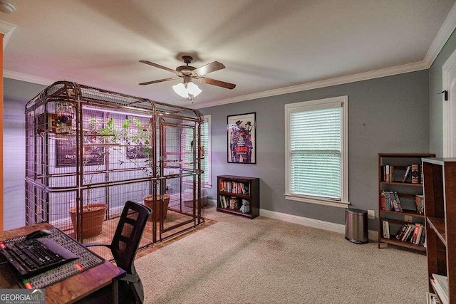 carpeted office space with baseboards, ornamental molding, and a ceiling fan