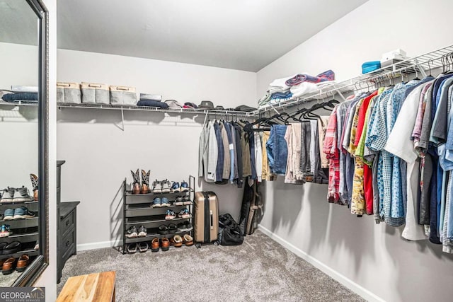 walk in closet featuring carpet floors