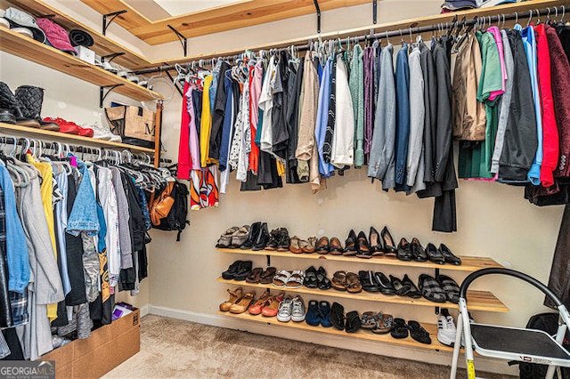 spacious closet with carpet flooring