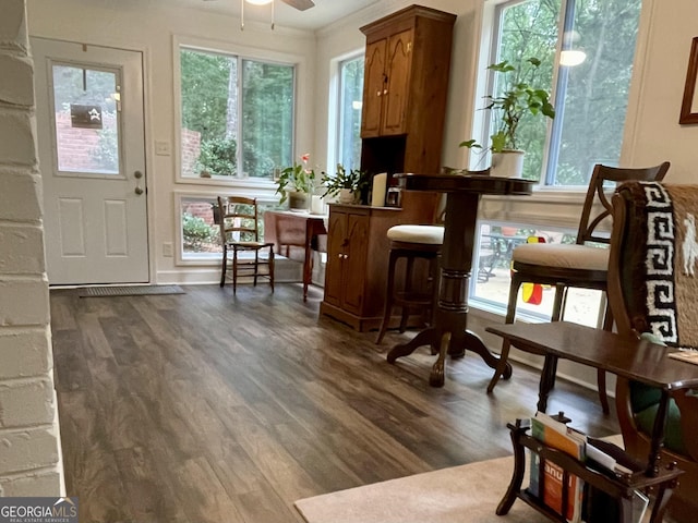 living area with dark wood-style floors, ceiling fan, and crown molding