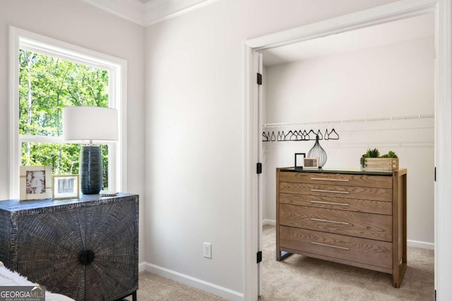 sitting room featuring carpet and baseboards