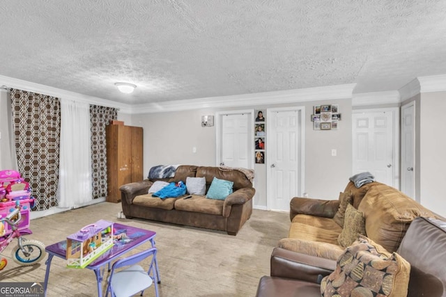 living area with crown molding, a textured ceiling, and carpet flooring