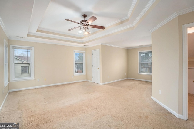 empty room featuring a healthy amount of sunlight, baseboards, a tray ceiling, and light colored carpet