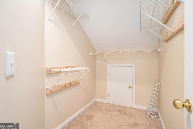 spacious closet featuring carpet