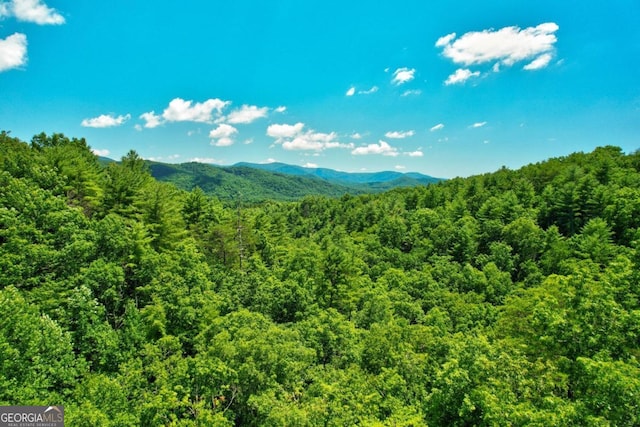 property view of mountains with a view of trees