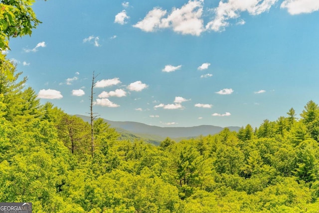 mountain view with a wooded view