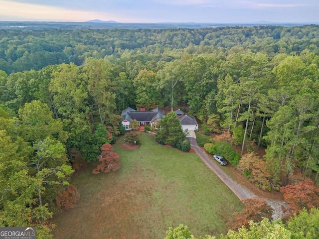 bird's eye view with a forest view