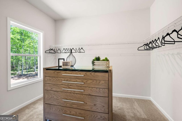 walk in closet with carpet flooring