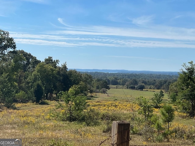 view of mountain feature featuring a forest view and a rural view