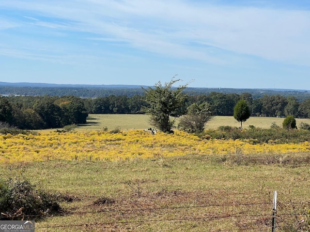 property view of mountains with a rural view