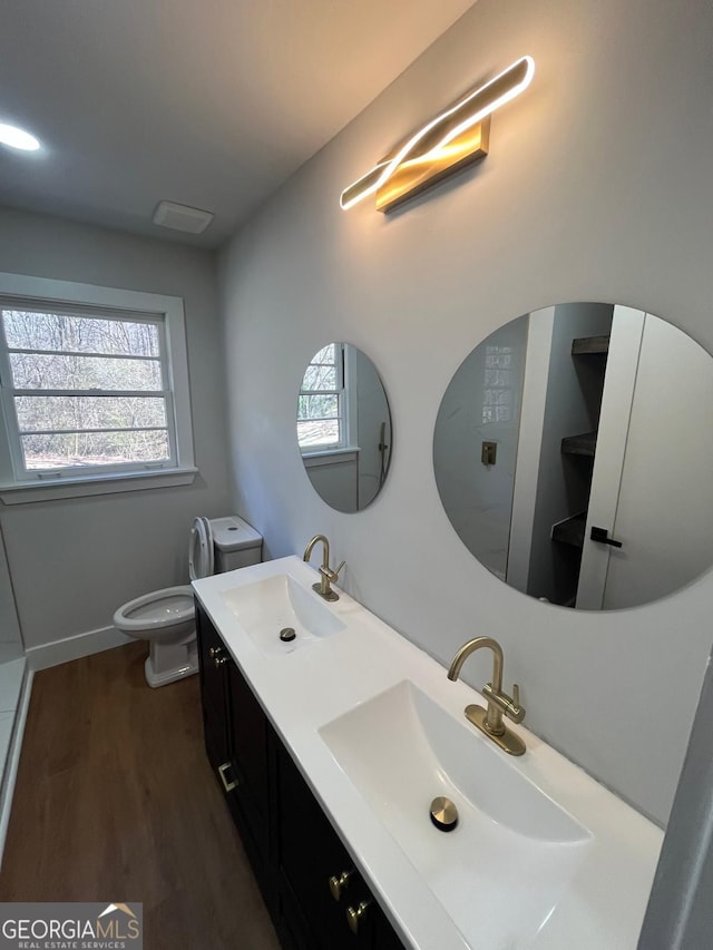 bathroom featuring a healthy amount of sunlight, wood finished floors, and a sink