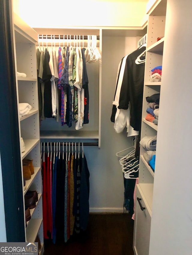 view of walk in closet