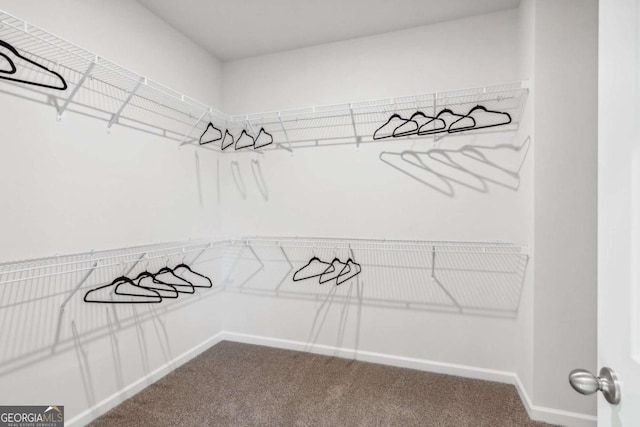 walk in closet featuring dark carpet