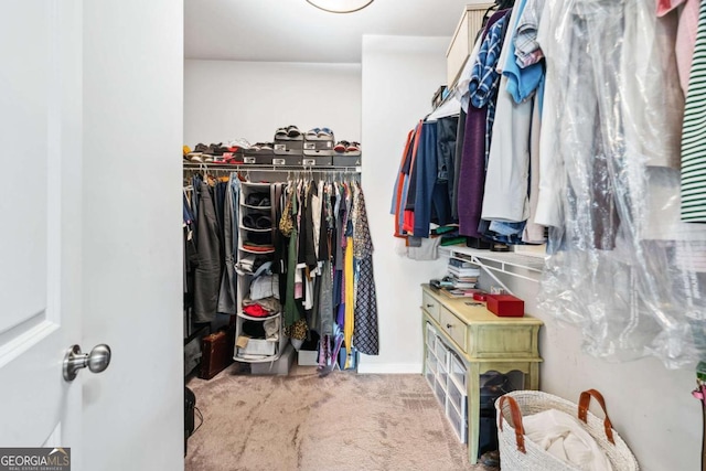 spacious closet with carpet flooring