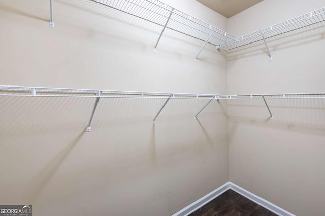 spacious closet with dark wood-type flooring