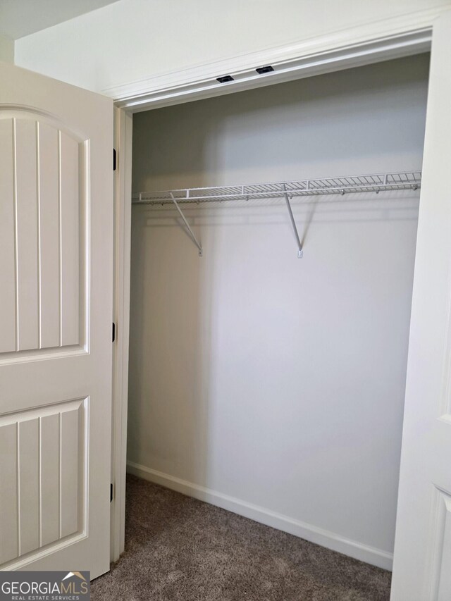 312 Overview Dr, Canton, GA 30114 - view of closet