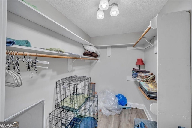 spacious closet featuring wood finished floors