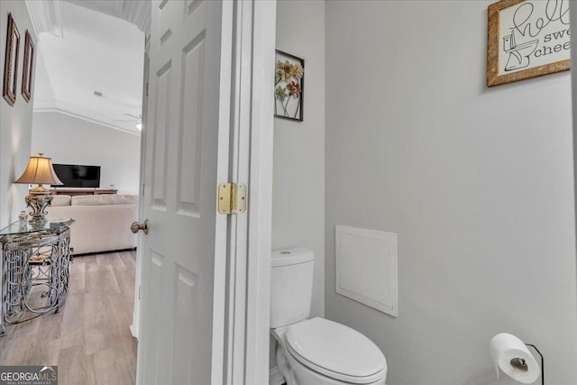 bathroom featuring lofted ceiling, toilet, and wood finished floors