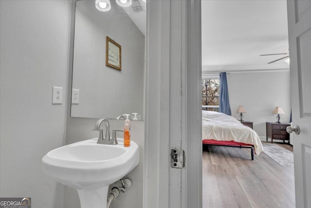 bathroom with a sink and wood finished floors