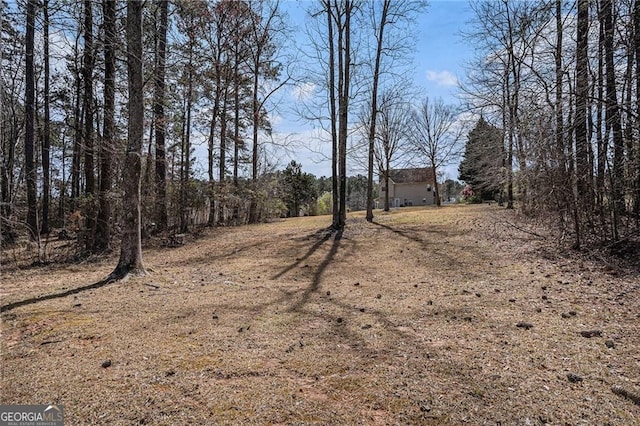 190 The Falls Blvd, Covington, GA 30016 - view of yard