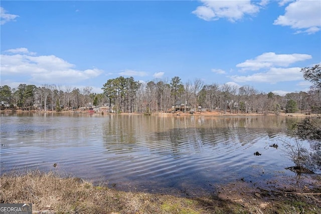 190 The Falls Blvd, Covington, GA 30016 - water view with a heavily wooded area
