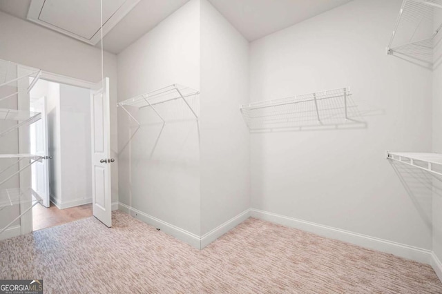 spacious closet with attic access and carpet