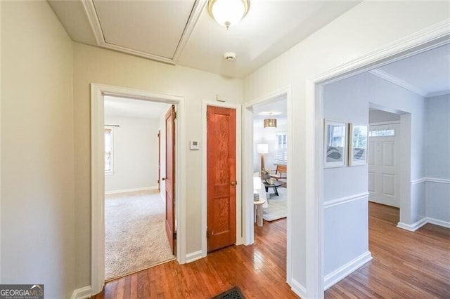 corridor featuring attic access, baseboards, and wood finished floors