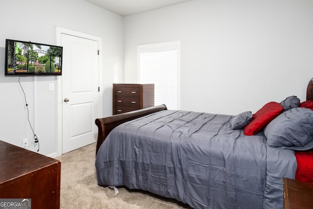 bedroom with carpet flooring