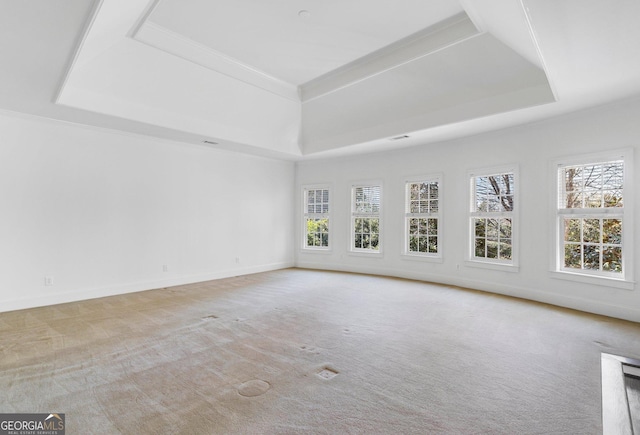 empty room featuring a tray ceiling, carpet, and baseboards