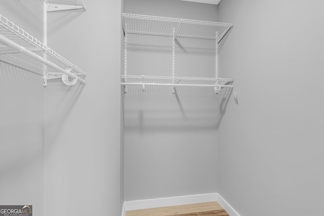 walk in closet featuring wood finished floors